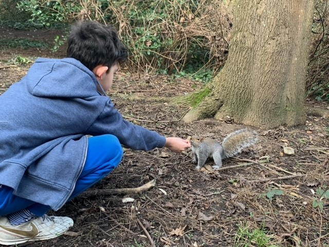 A student feeding a squirrel