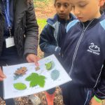 students looking at a paper with leaves on it