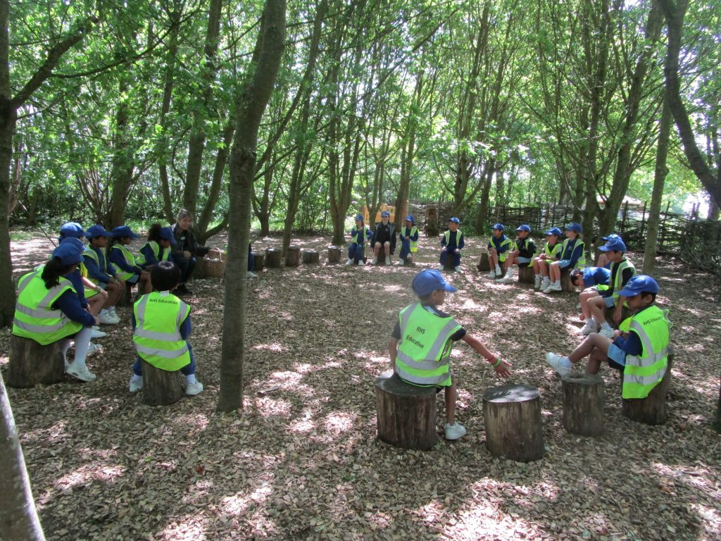 Children in hi-viz sat in a circle in the forest
