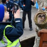 student taking a photo of a toy in a tree