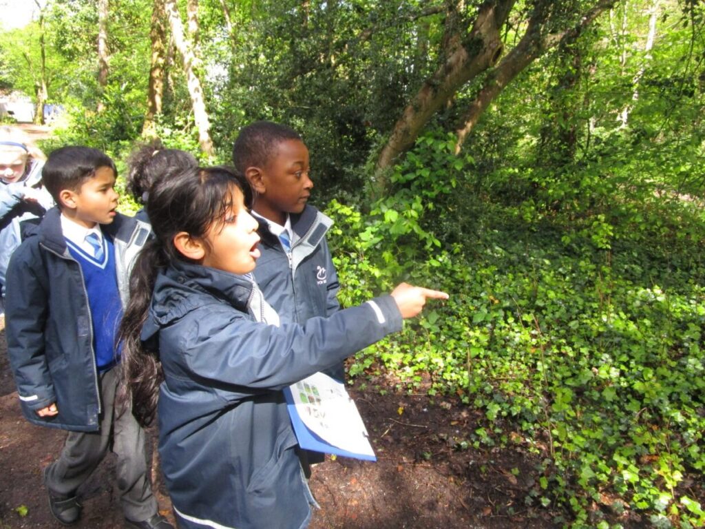 group of school students looking at something in a bush