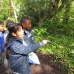 group of school students looking at something in a bush