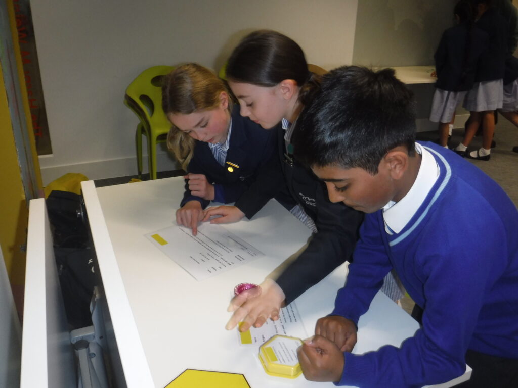 group of school children looking at items on a desk