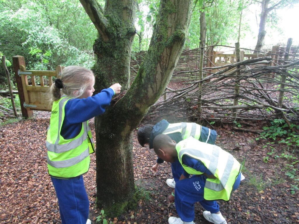 school students looking at twigs and leaves
