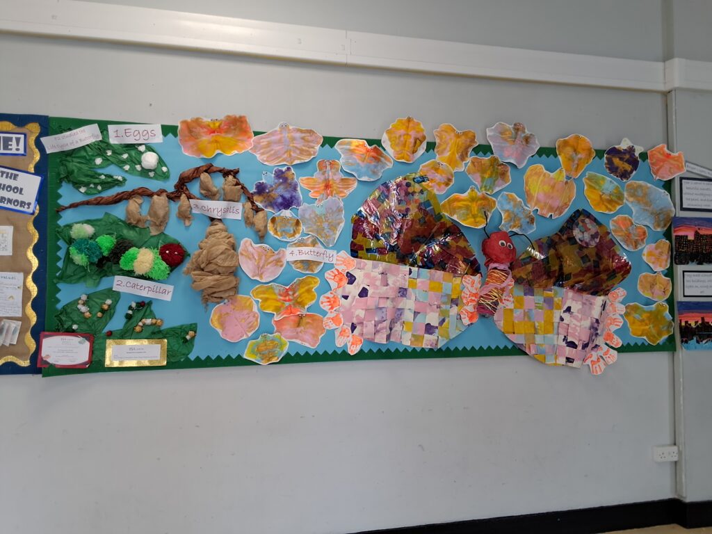 school butterfly display