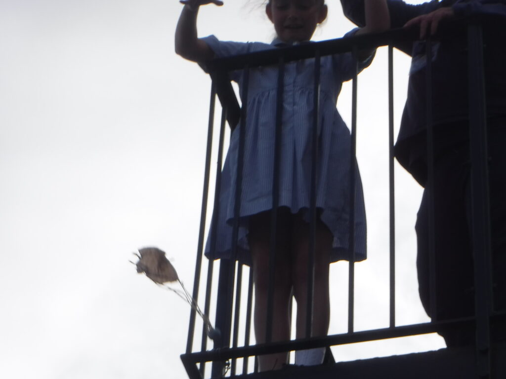 student doing a science experiment outdoors